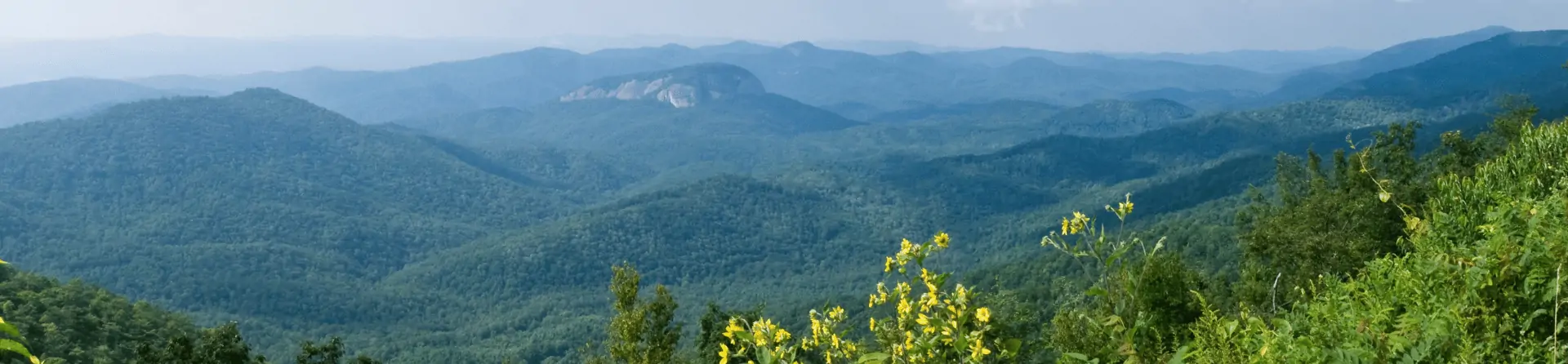 Aboriginal History in the Blue Mountains