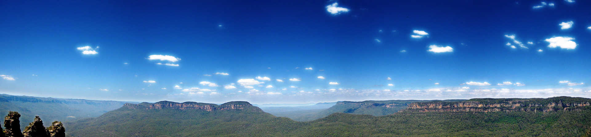 Are there snakes in the Blue Mountains?