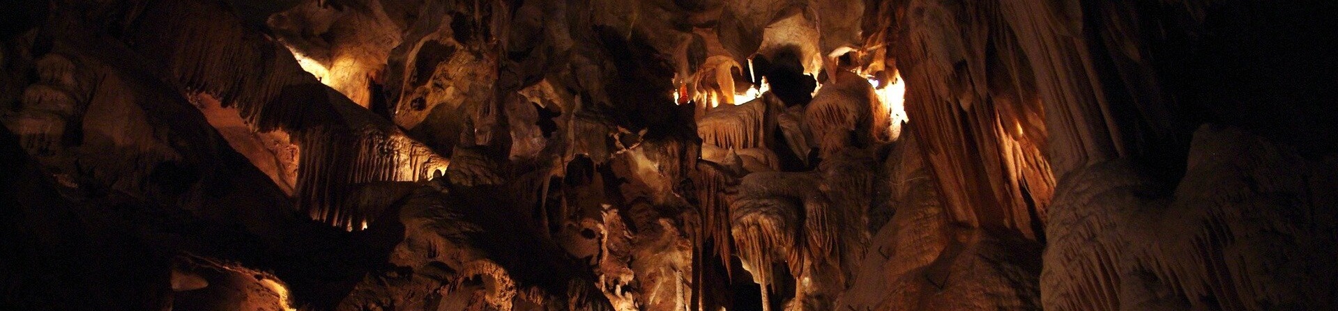 Which Jenolan cave tour is best?
