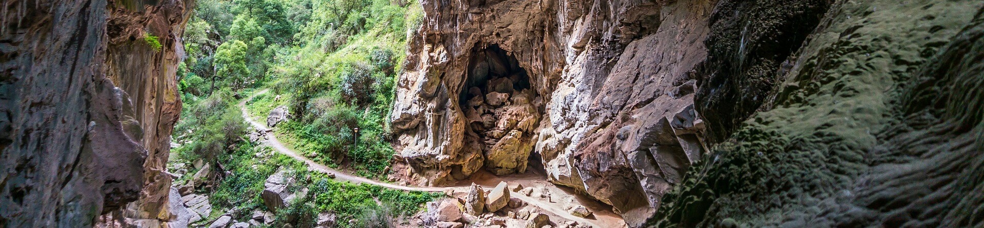 Are the Jenolan Caves worth visiting?