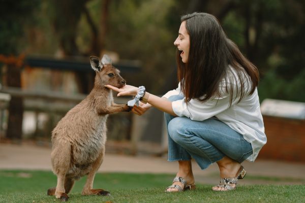 Woman feeding kangaroo