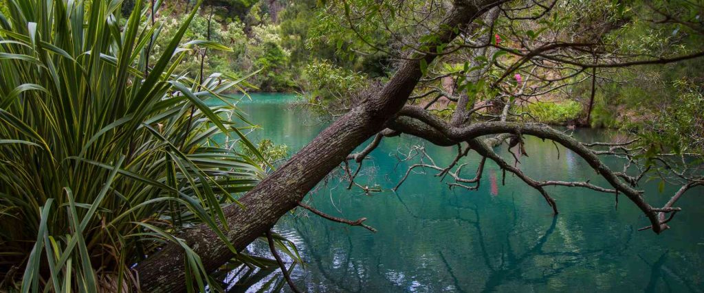 2 Day Blue Mountains Trip with Jenolan Caves $369