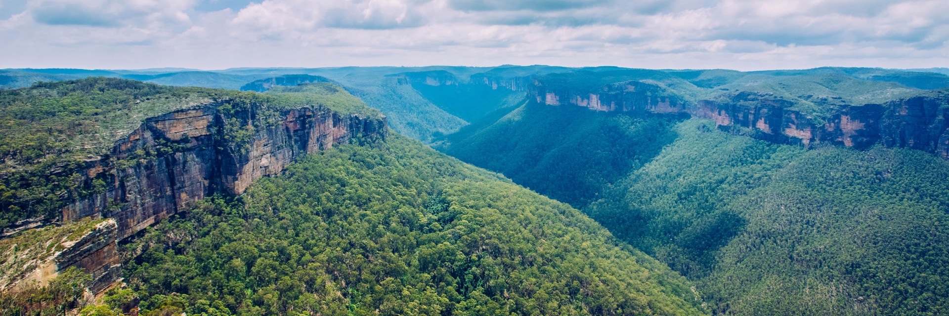 Guide to the Blue Mountains