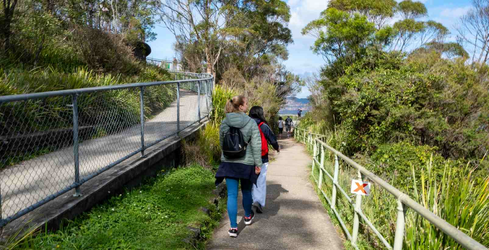 People hiking through forest