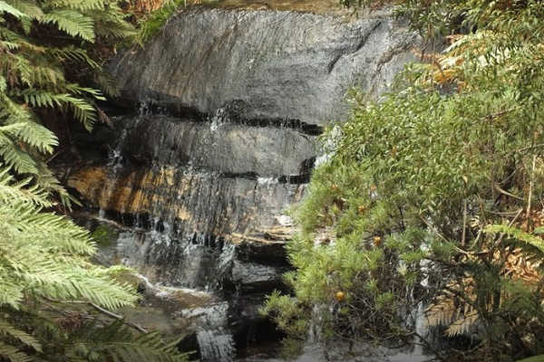  Leura Cascades, NSW