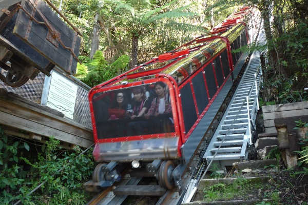 Scenic Railway