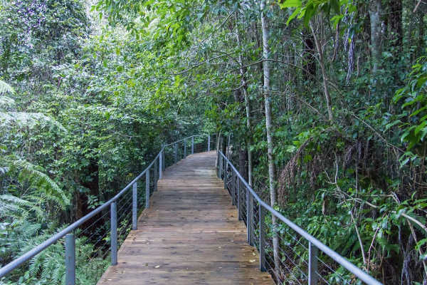 Scenic Walkway