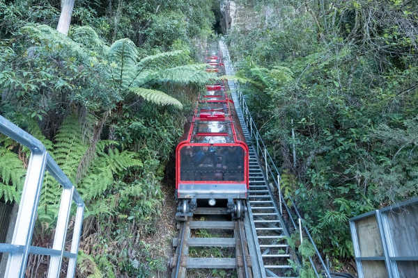 Scenic Railway
