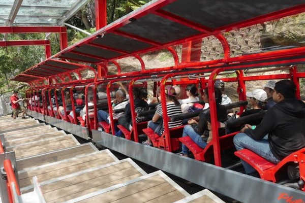 The Scenic Railway