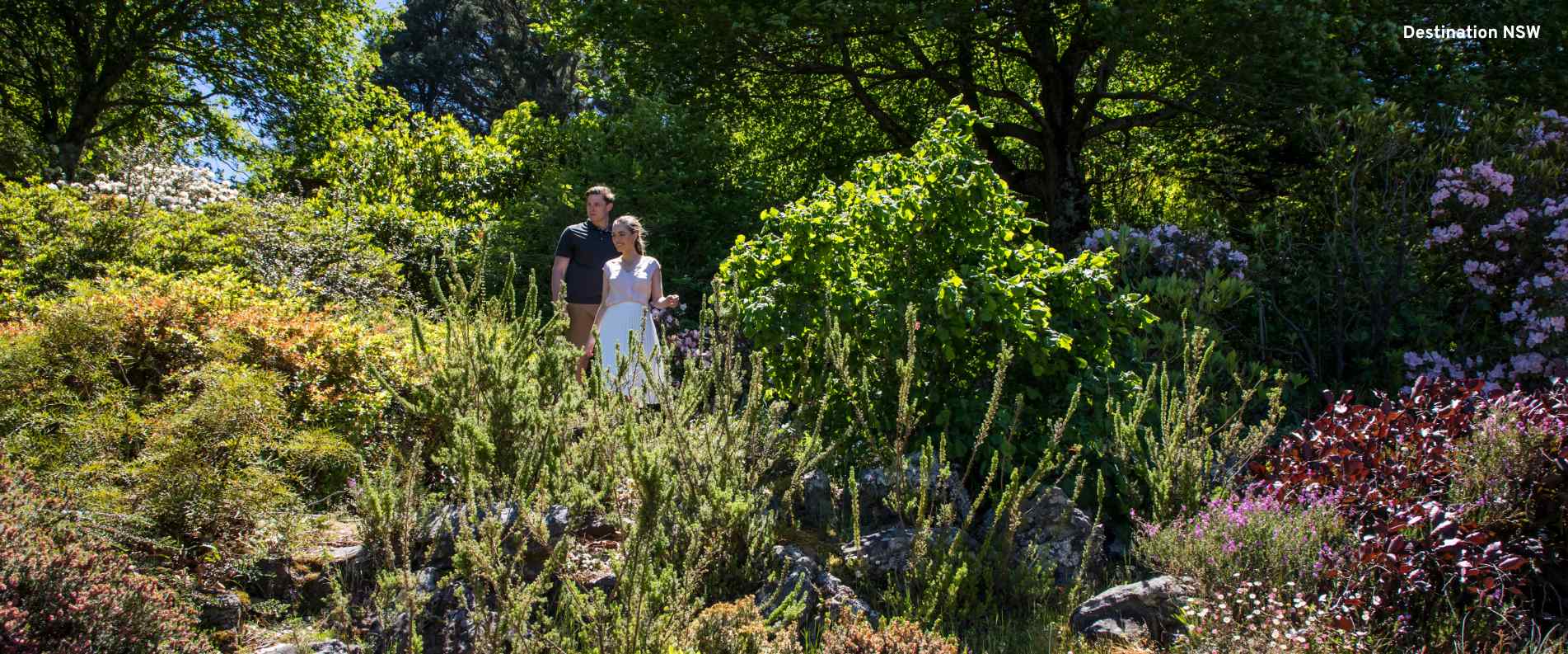 People walking through the garden at Everglades