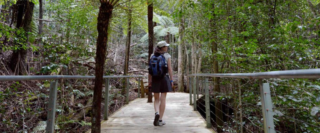 A person walking through Jamison Valley