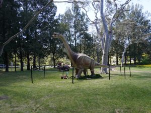 Dinosaur valley in the blue mountains national park