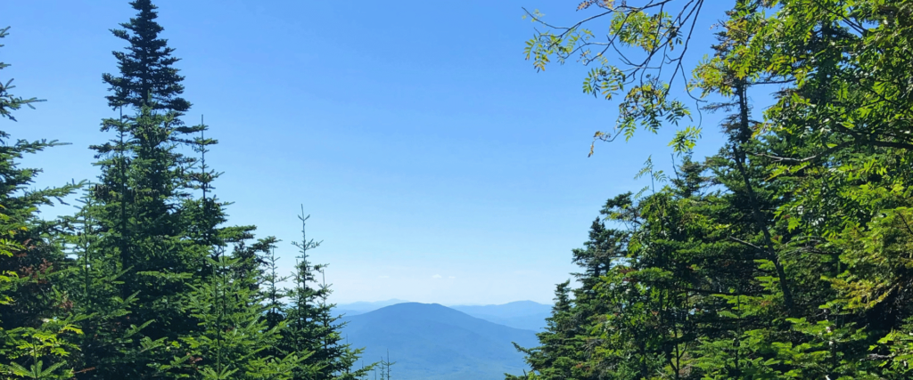 Mountains with blue sky and trees on each side of a hiking trail